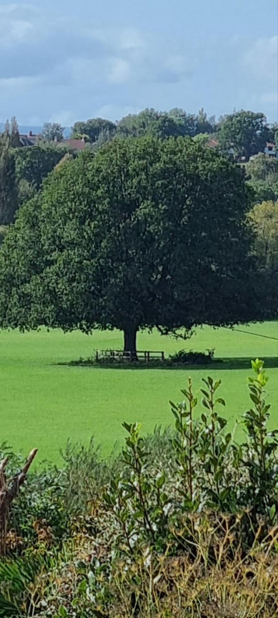 Ross-On-Wye Holiday Cottage Екстериор снимка